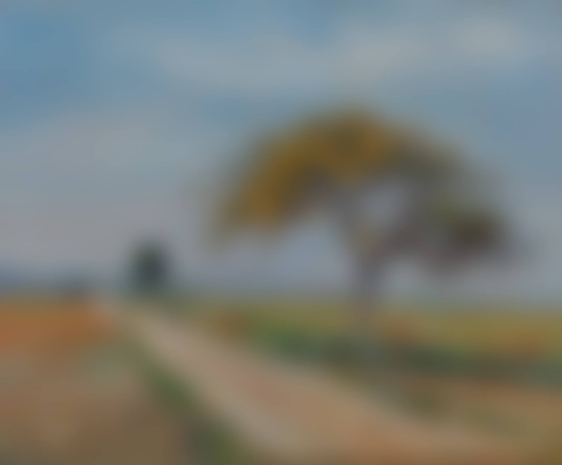 La Route (preview)