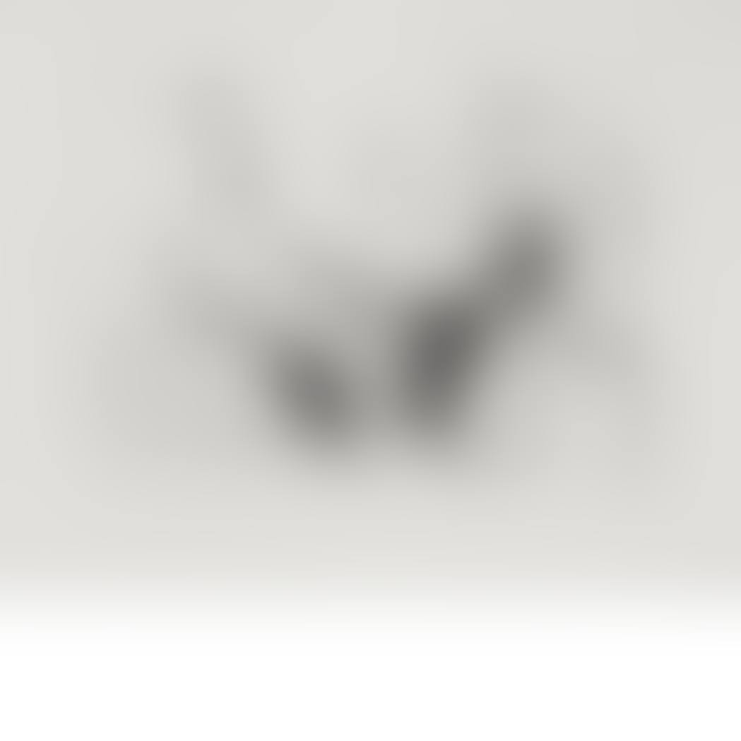 HOMME EN GILET AFGHAN SONGEANT AUX AMOURS D"UN MOUSQUETAIRE ET SA DULCINEE (B. 1503) (preview)