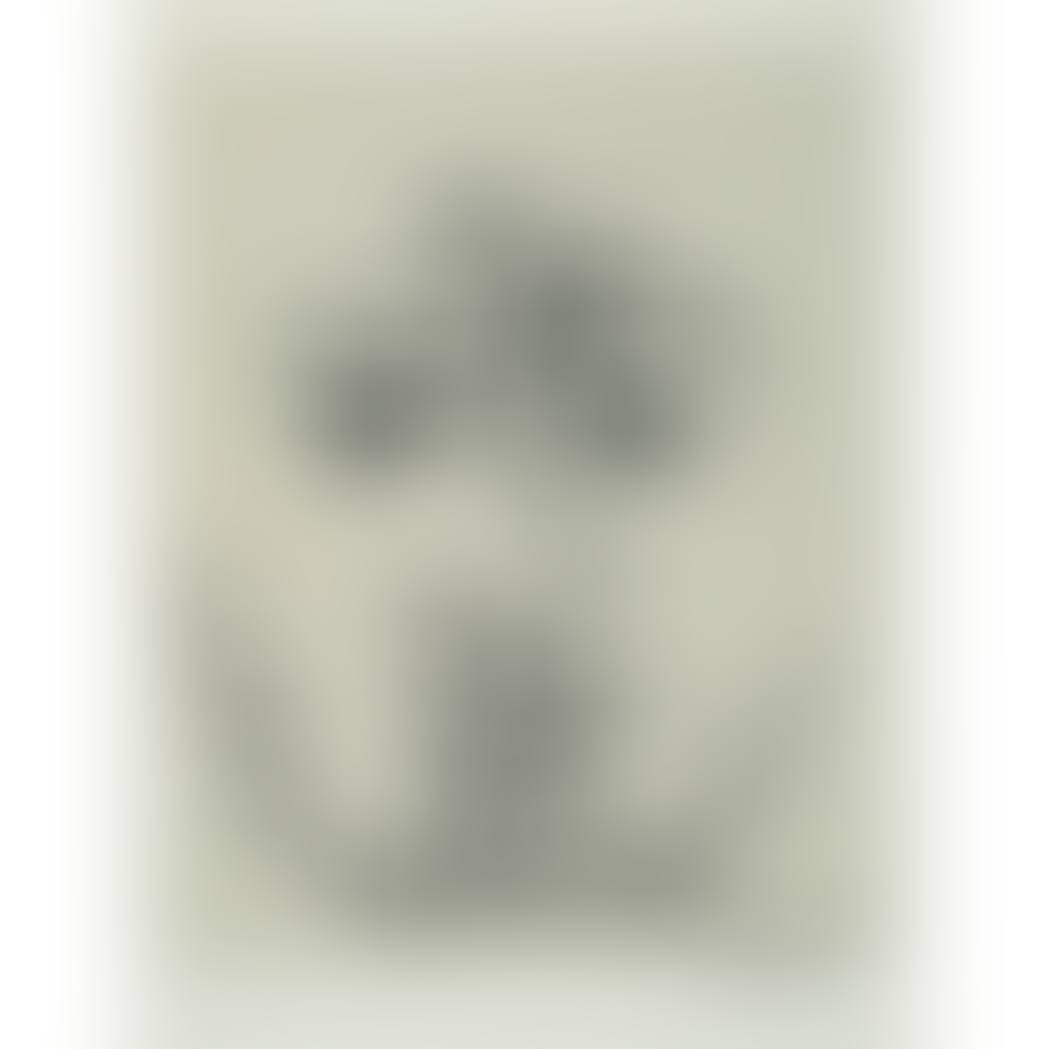 VISAGE (preview)