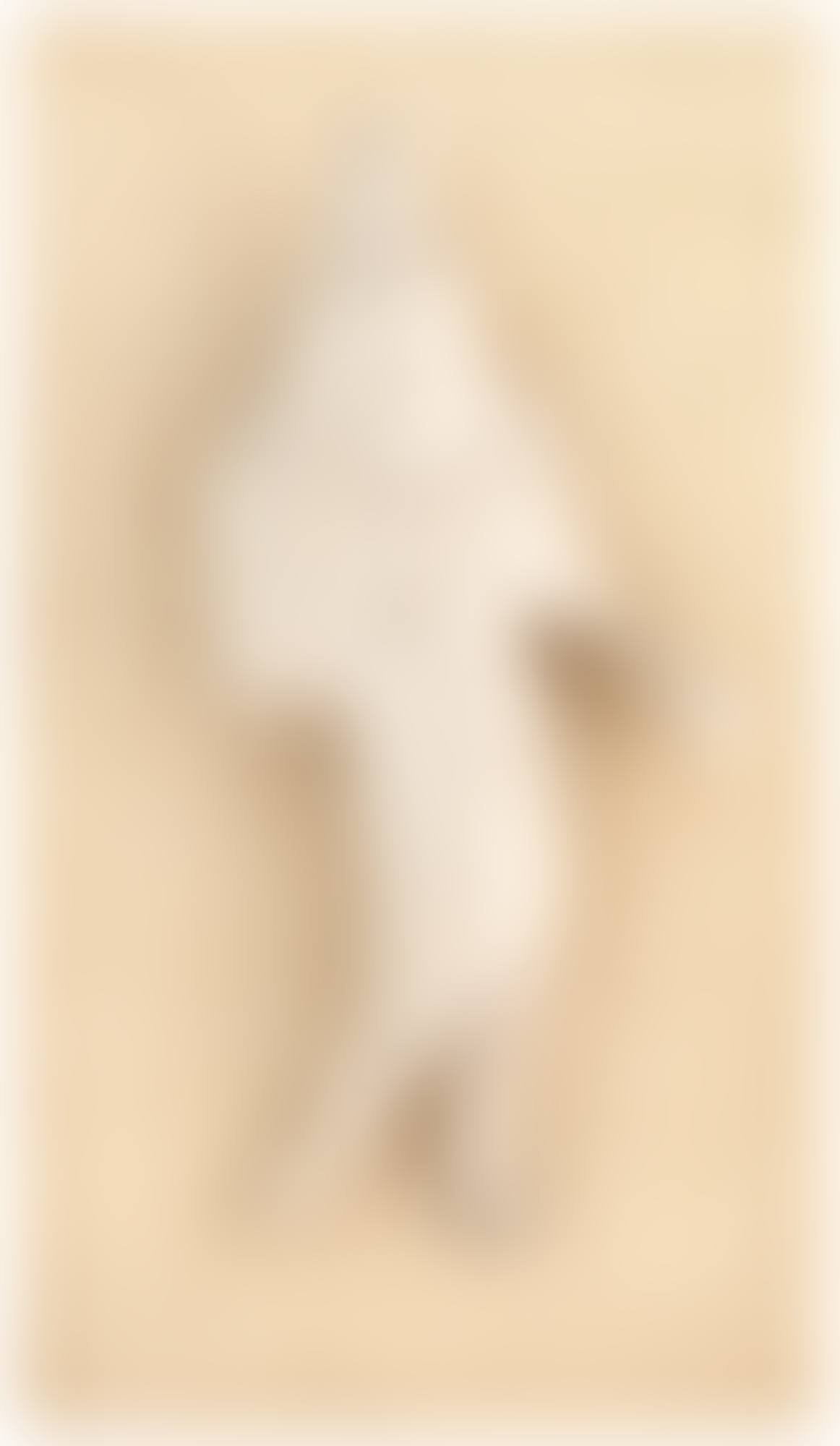Female Figure (preview)