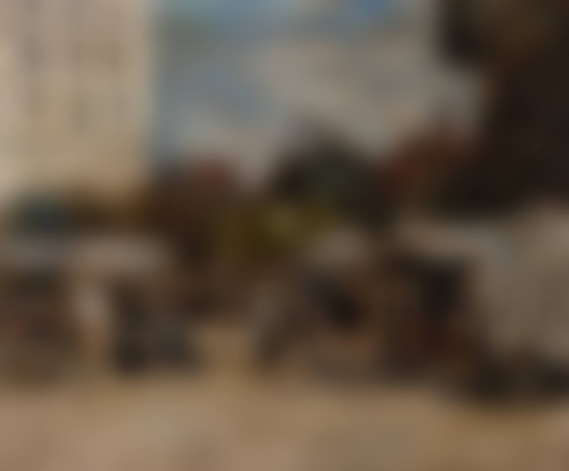 Le Marche (preview)