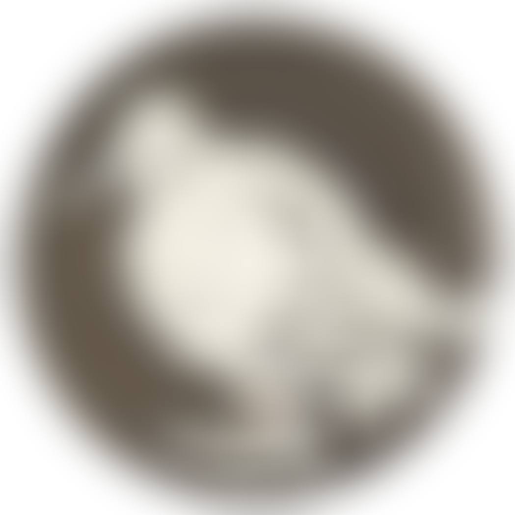 BIRD NO. 76 (A.R. 481) (preview)