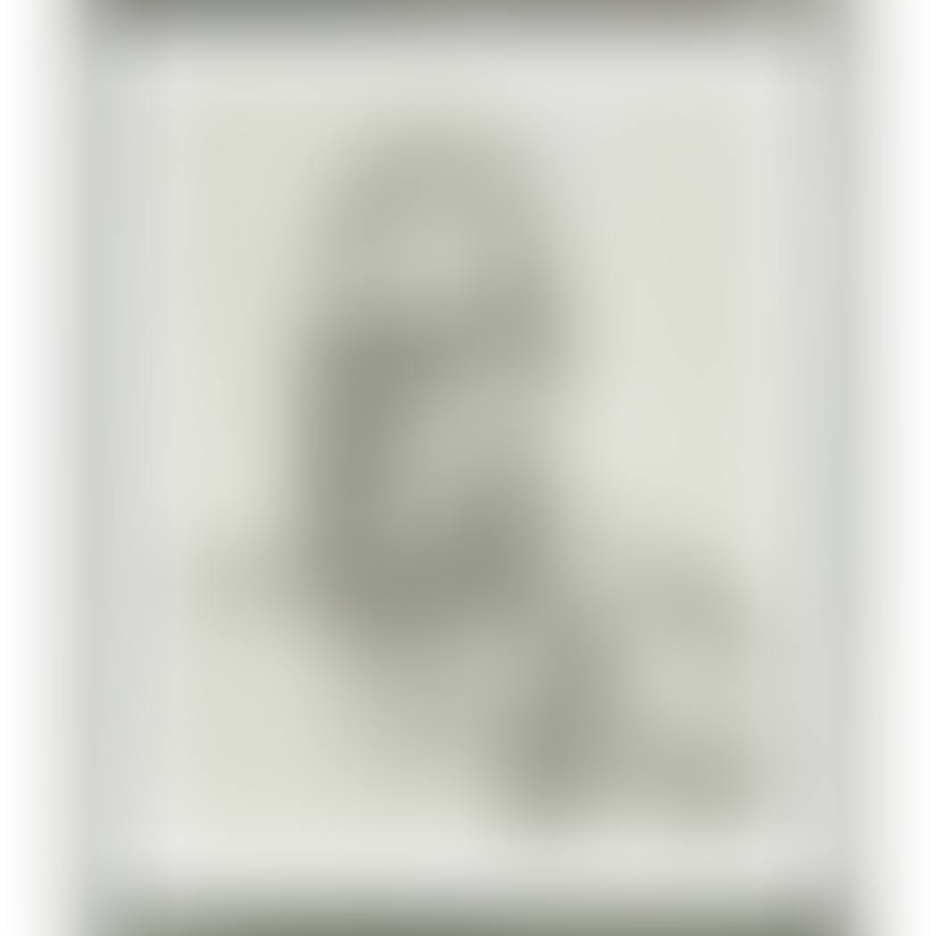 LARGE HEAD (HARTLEY 47; FIGURA 72) (preview)