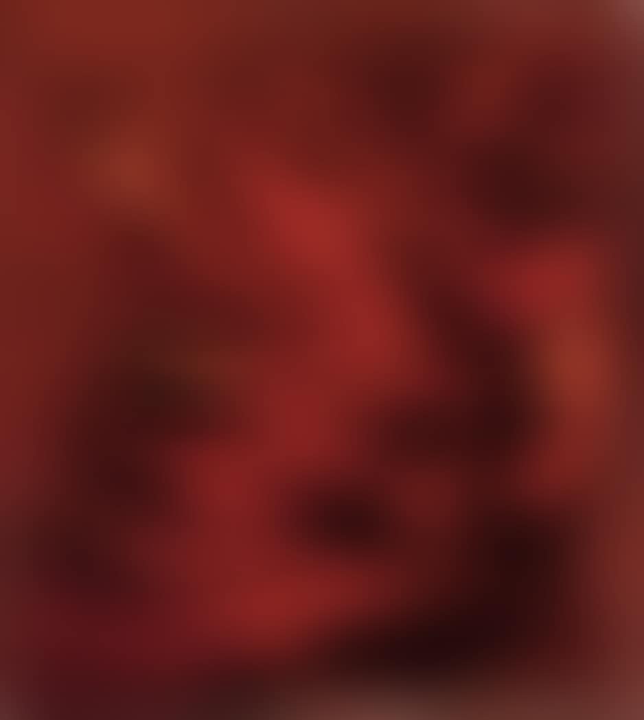Phoenix (preview)