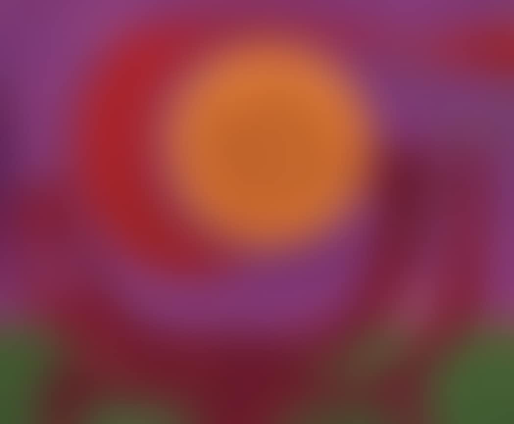 La Puesta del Sol (preview)