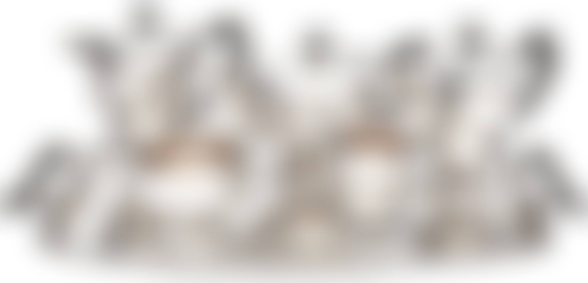 Elizabeth II Sterling Silver Tea and Coffee Service (preview)