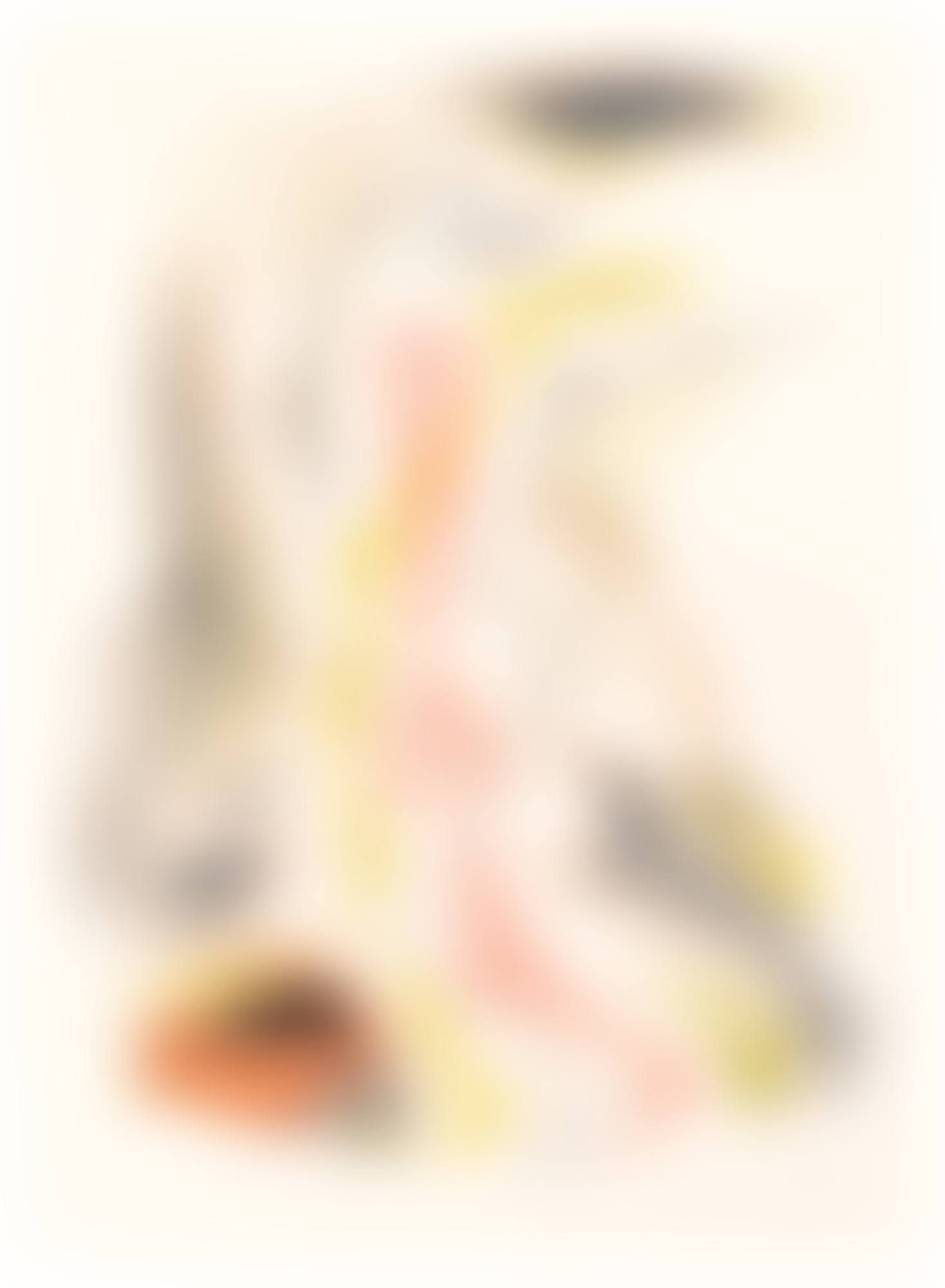 LE FUGITIF (preview)