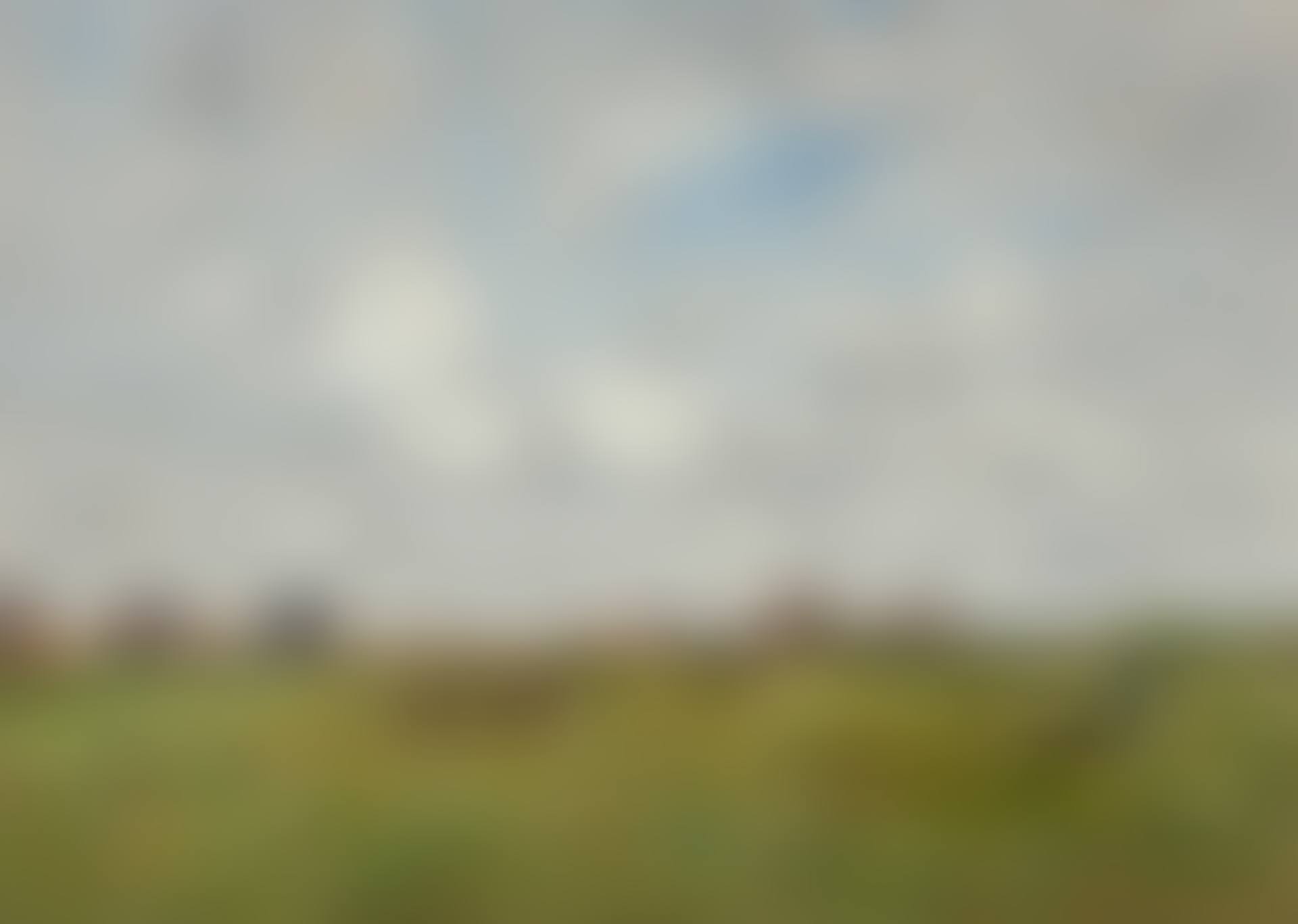 Environs de Berck (preview)