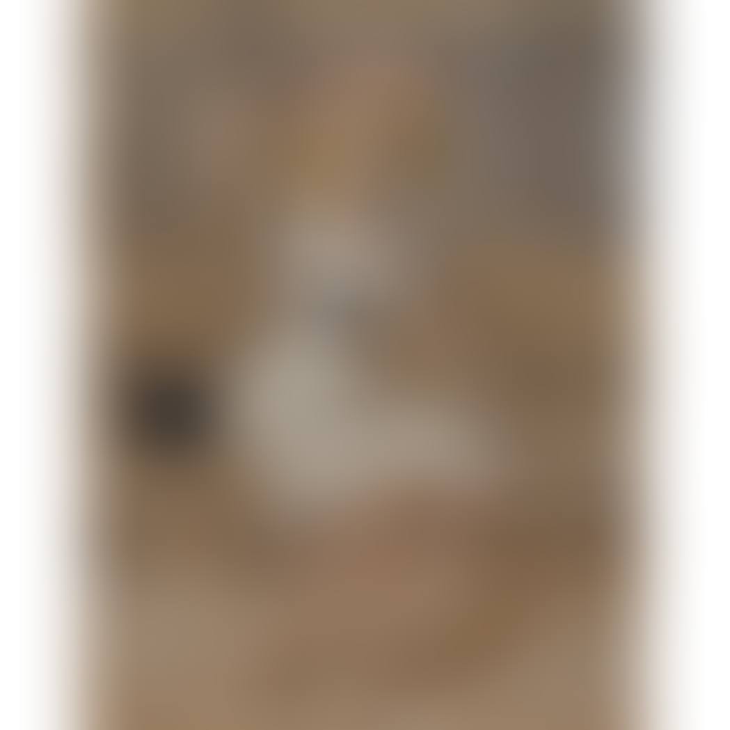 Figure Studies: Four (preview)