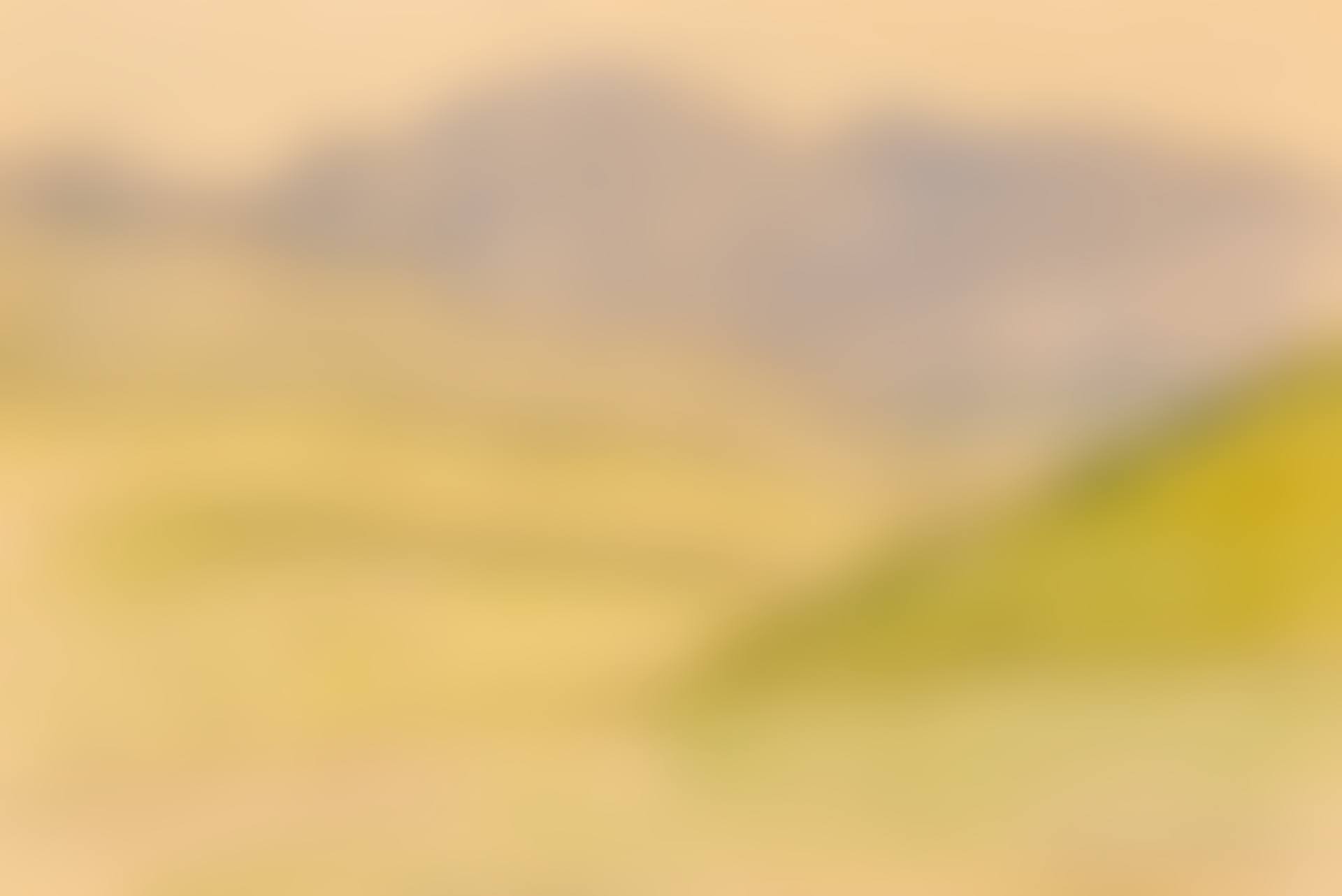 Untitled Landscape (preview)