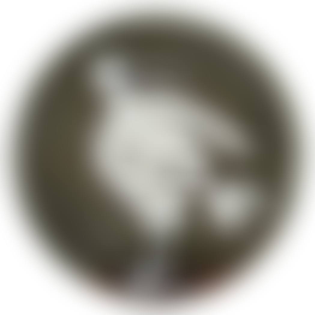 OISEAU NO. 82 (A.R. 482) (preview)