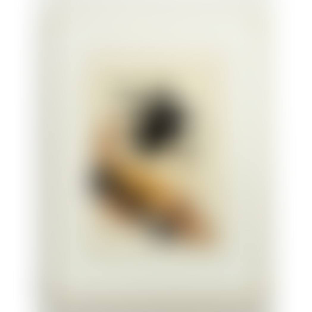 UNTITLED (B. 344; E./B. 376) (preview)