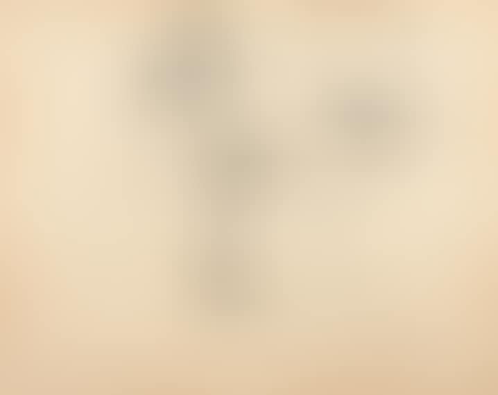 Abstract (preview)