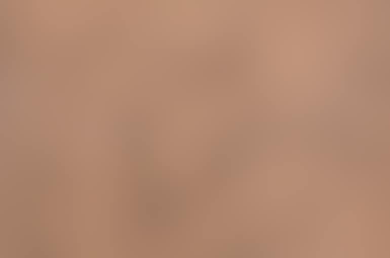 Nudes in a Boudoir (preview)