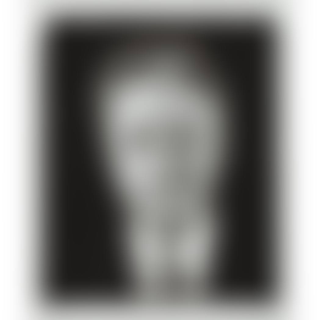 UNTITLED (PRESIDENT CLINTON) DIPTYCH (preview)