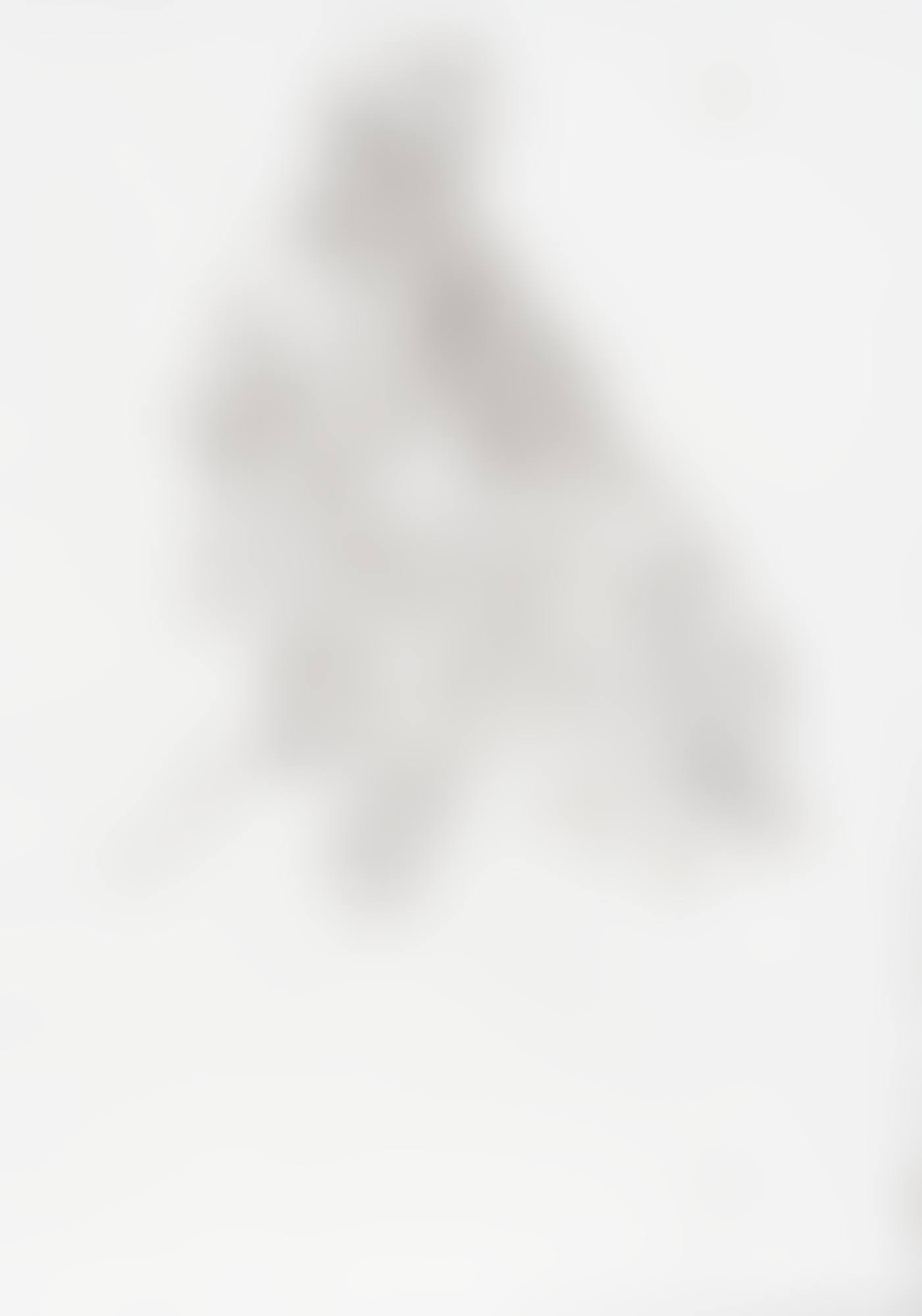 Untitled (Bird) (preview)