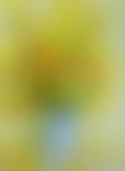 FLEURS DANS UN VASE BLEU (preview)