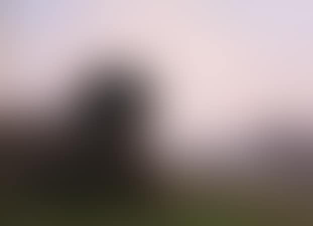 A FOGGY MORNING (preview)