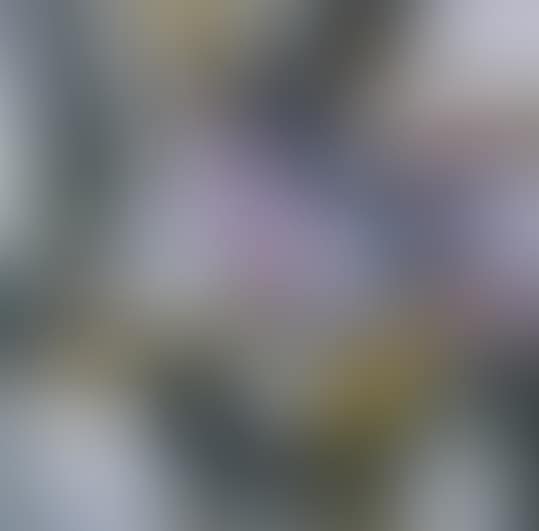 IMBRIUM (preview)