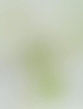 LANDSCAPE WITH TREES (preview)