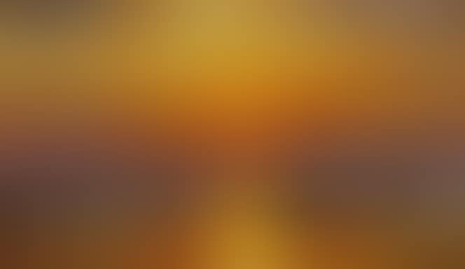 THE SETTING SUN (preview)