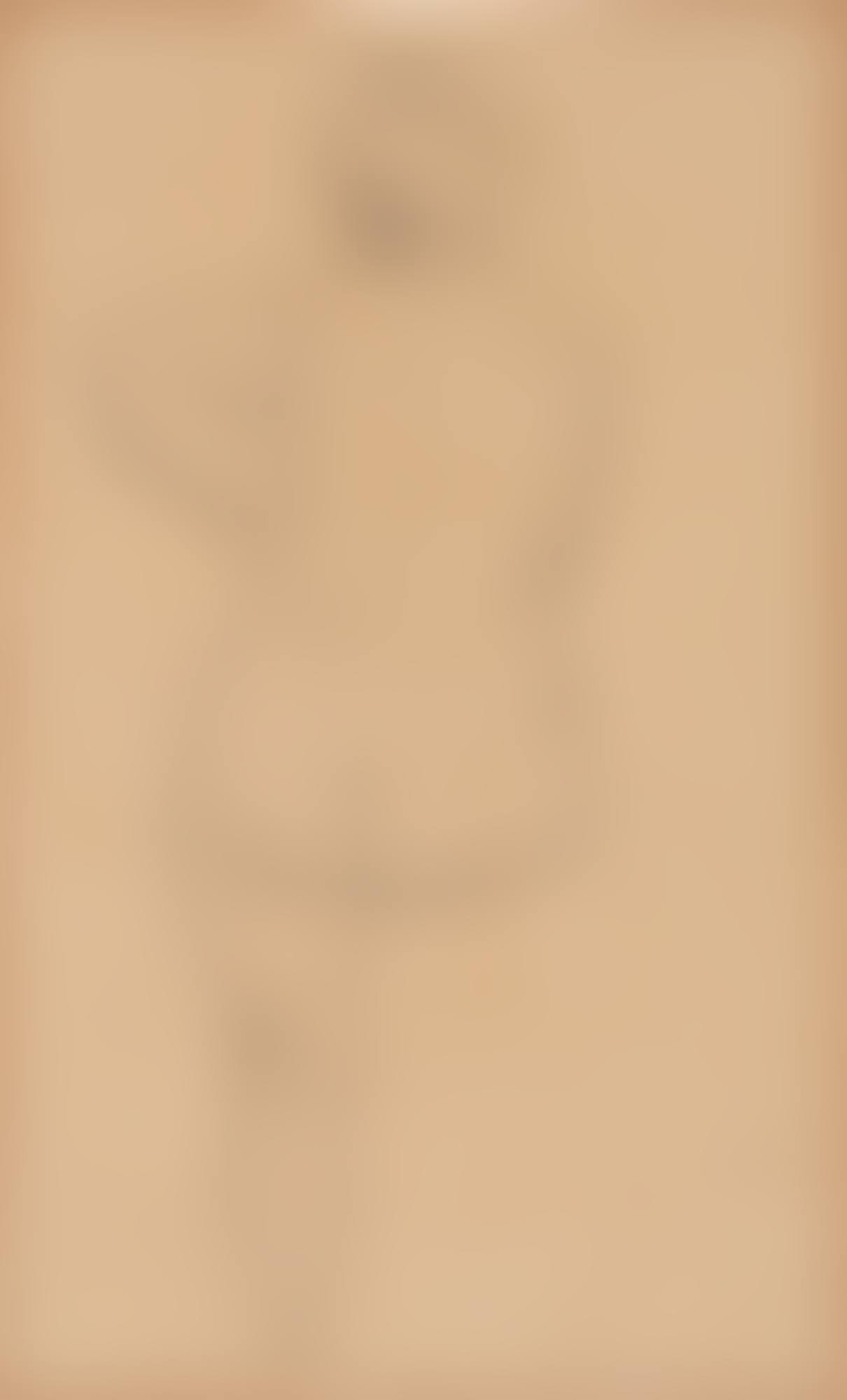 Stehender weiblicher Rückenakt (Standing Female Nude from the Back) (preview)