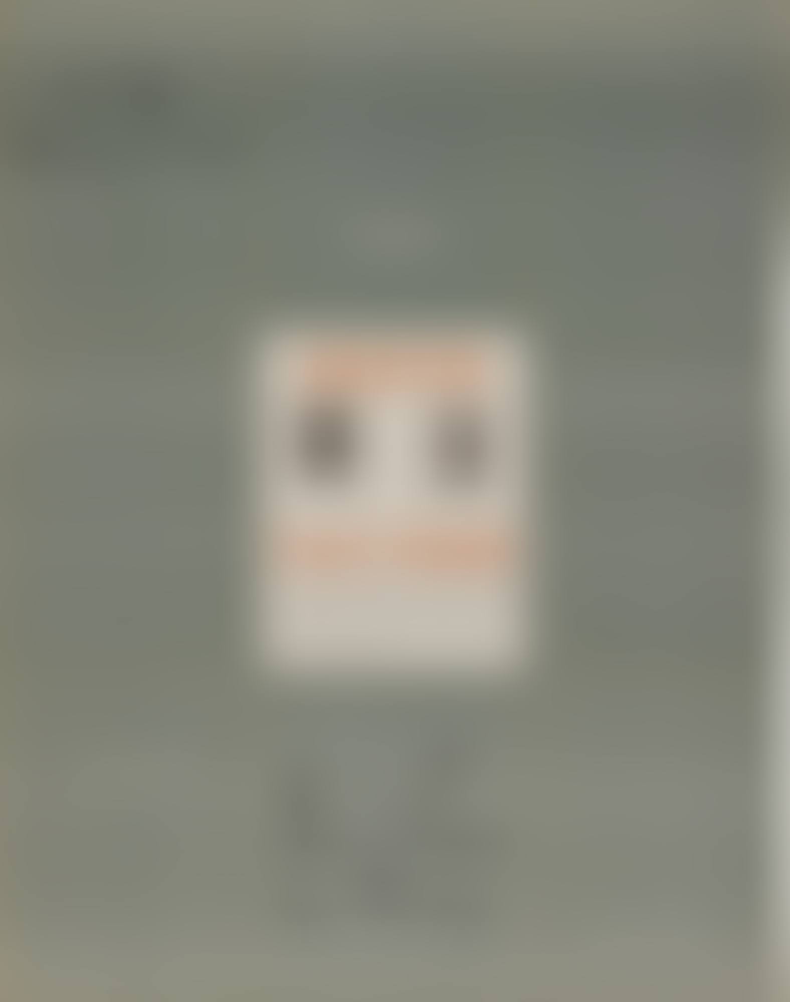 A Poster Within a Poster (Schwarz 588) (preview)
