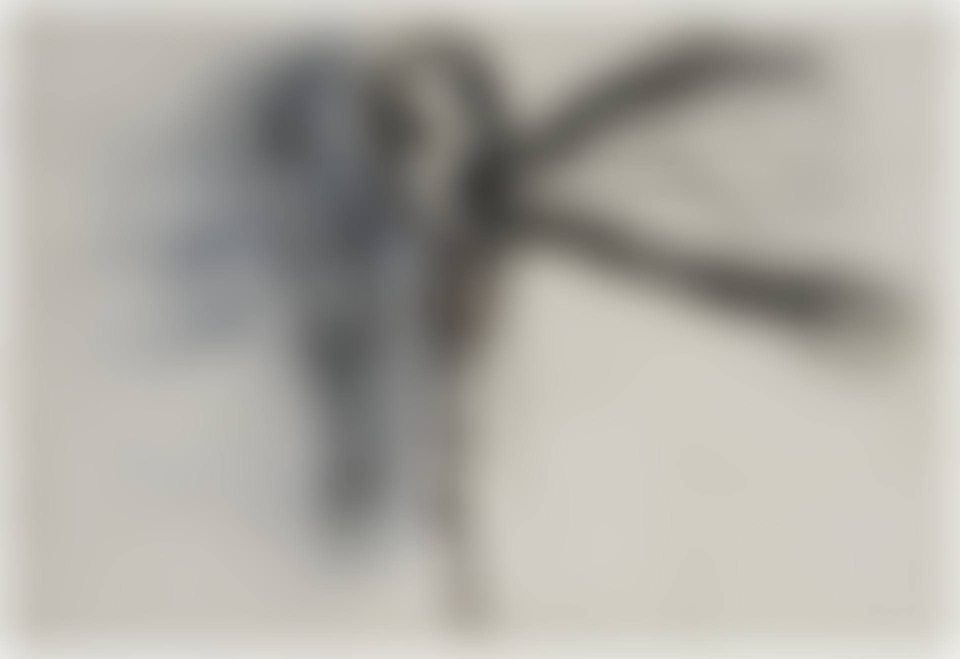 Untitled (Head and Spine) (preview)
