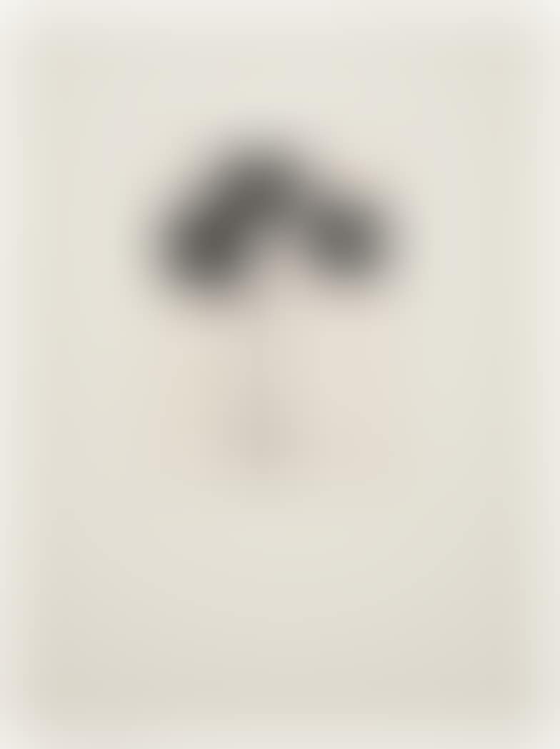 Untitled (preview)