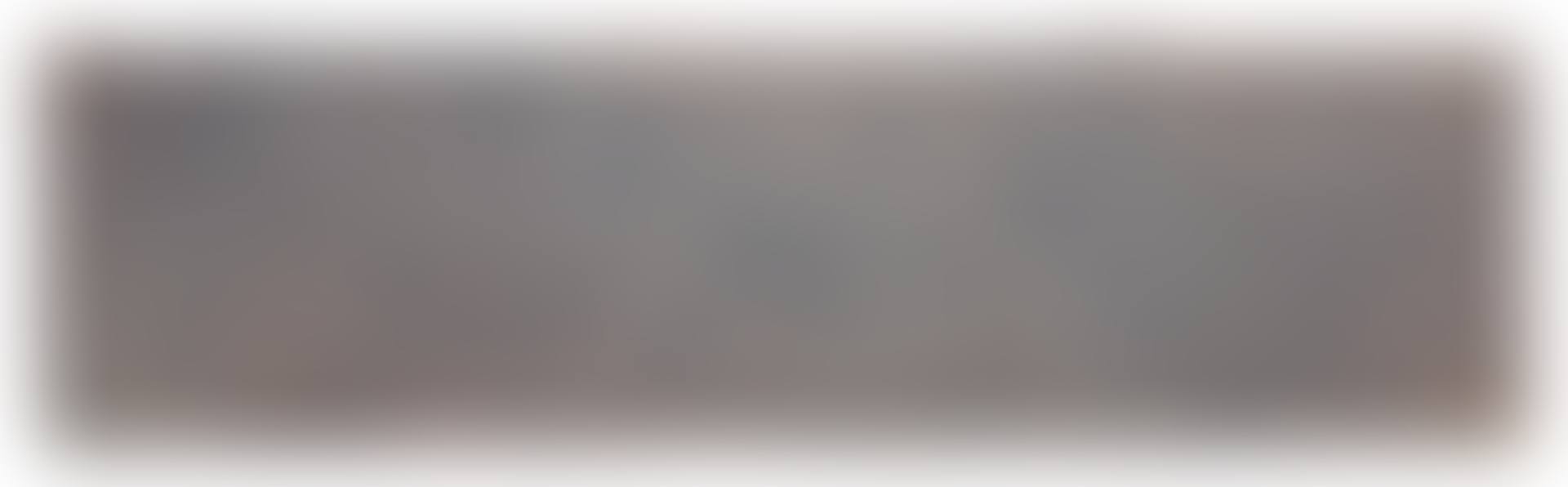Pleasure Fact (preview)