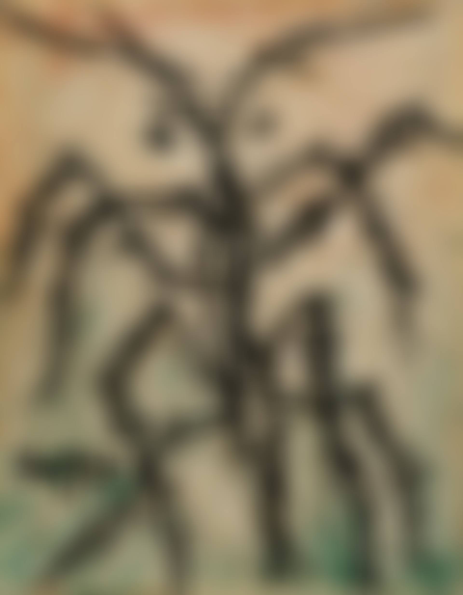 Insect (preview)