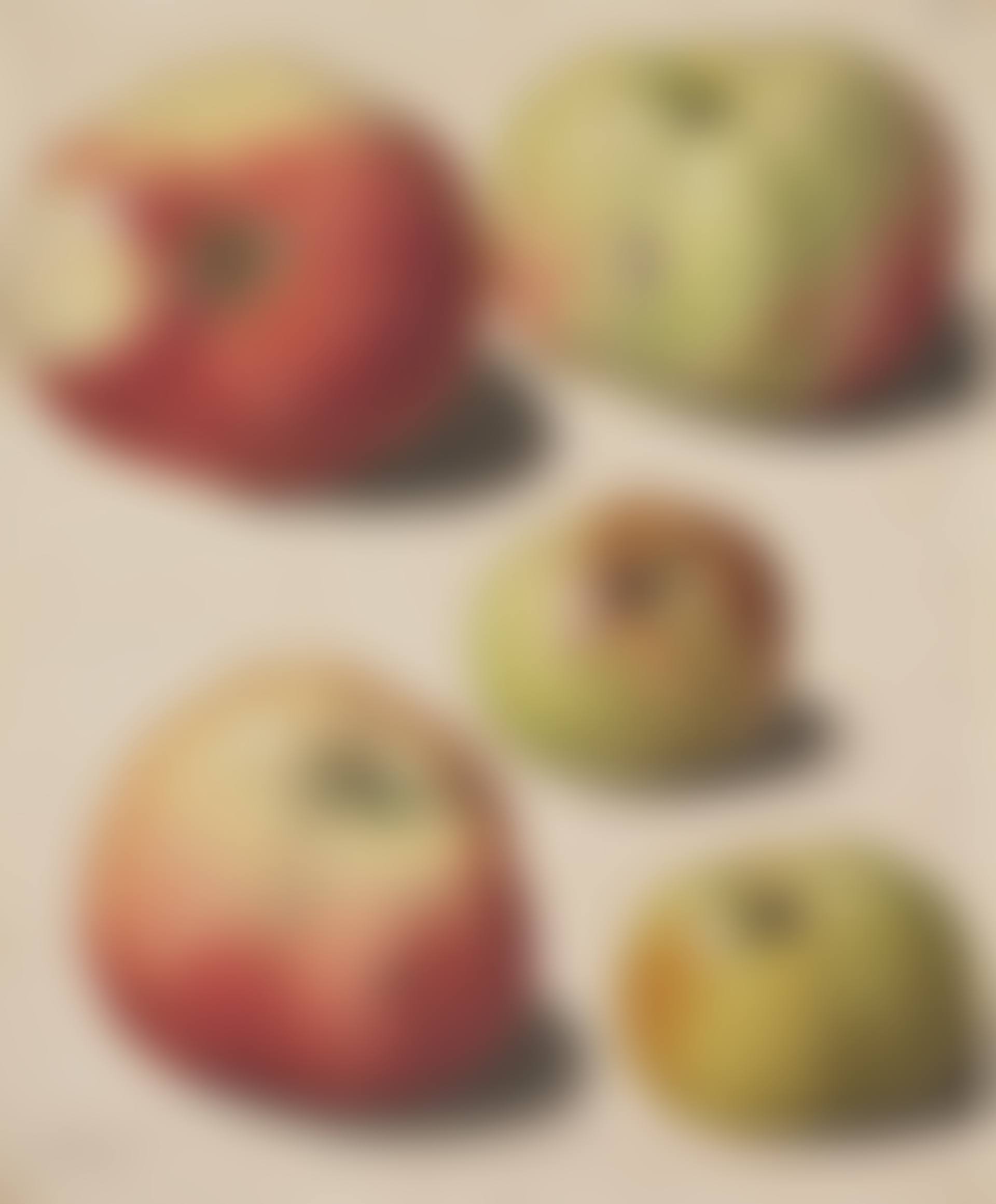 Étude de pommes (preview)