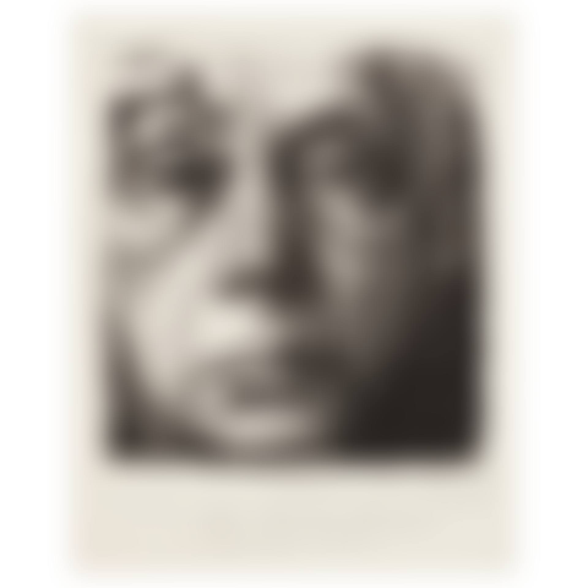 Selbstbildnis (Klipstein 252, Knesebeck 263b) (preview)