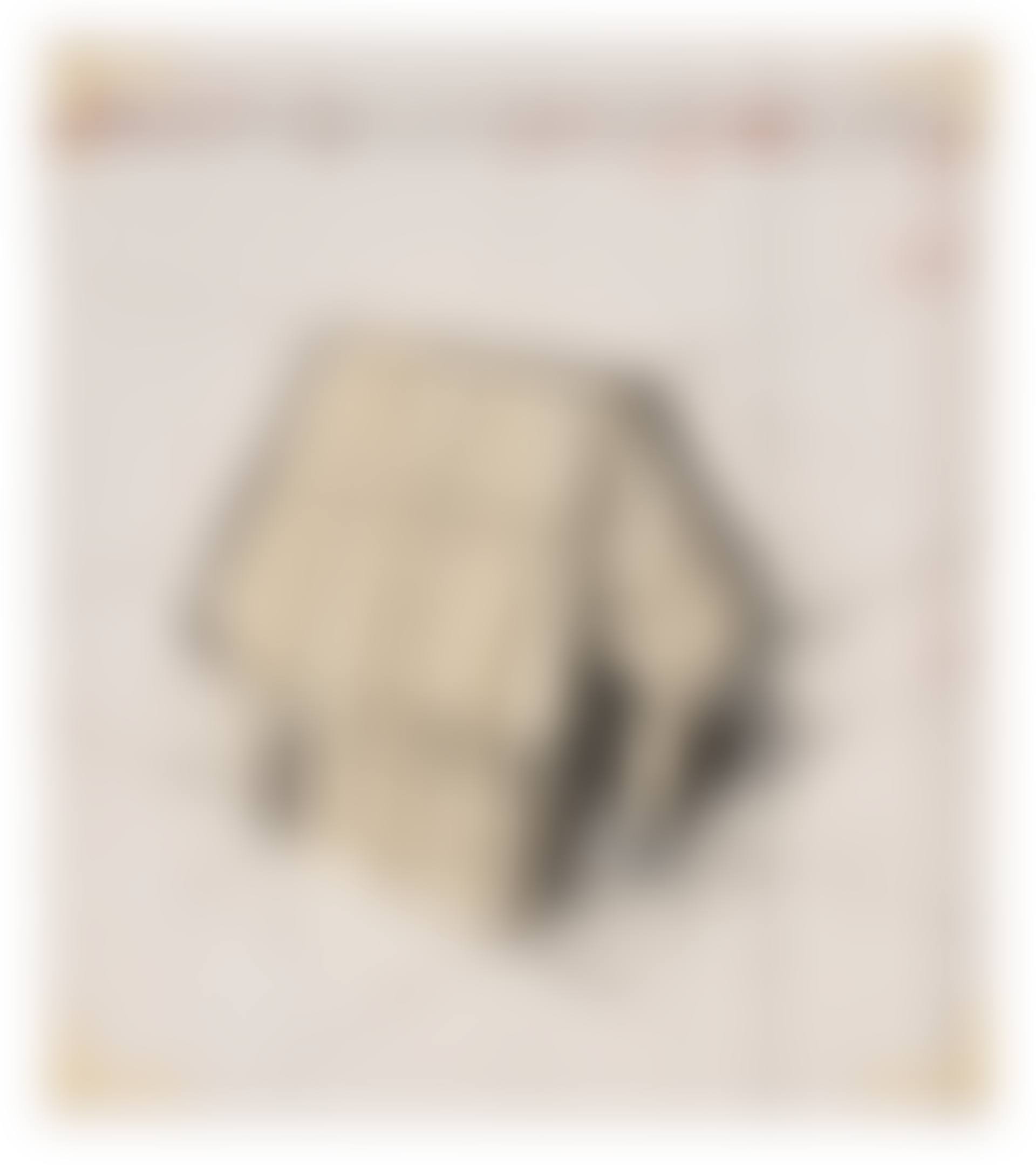 Wrapped Snoopy House, Project for Charles M. Schulz Museum (preview)