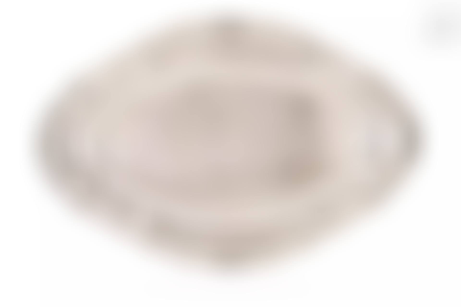 Oval silver dish (preview)