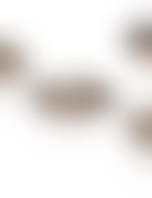 Silver wine taster (preview)