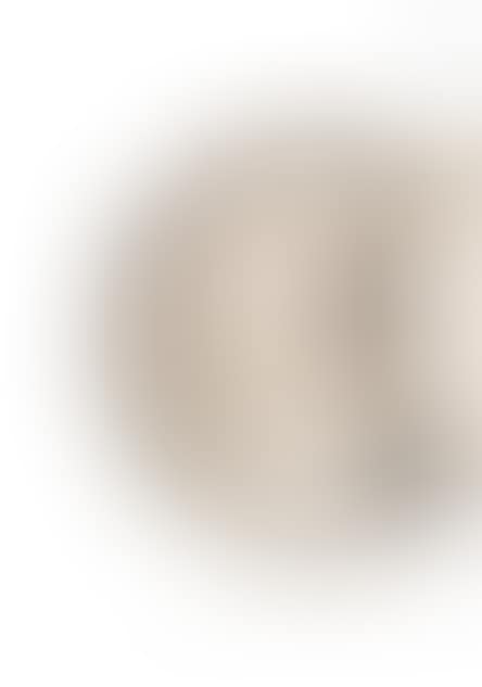 Round and hollow silver dish (preview)