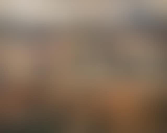 The Pont Neuf, Paris (preview)