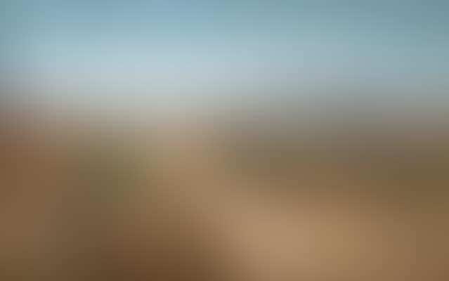 Oleander landscape (preview)