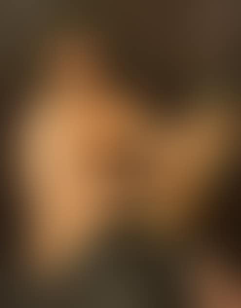 Allegorical portrait (preview)