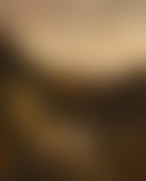 A meeting during the walk (preview)