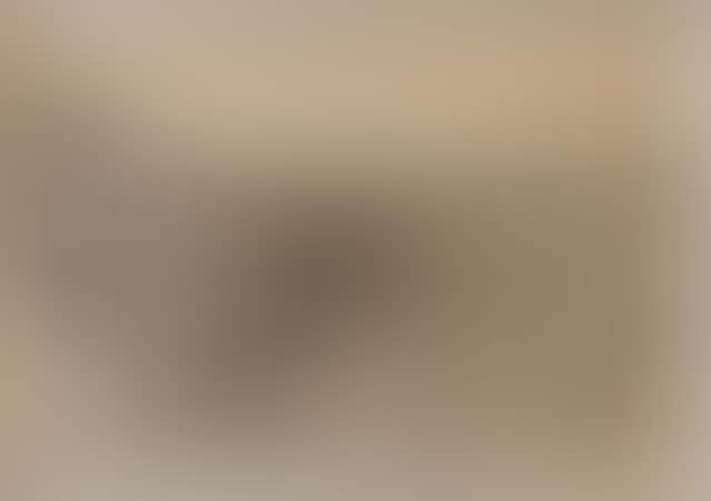 Landscape (preview)