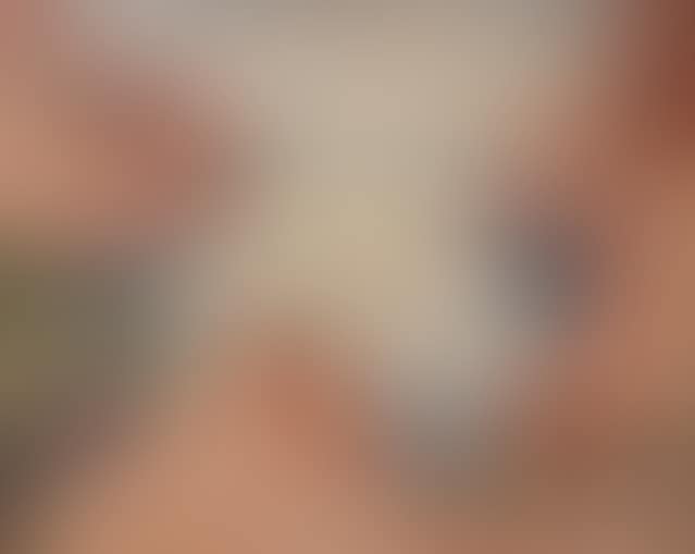 The Figuerolles cove (preview)