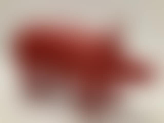 Cloned Pig (preview)