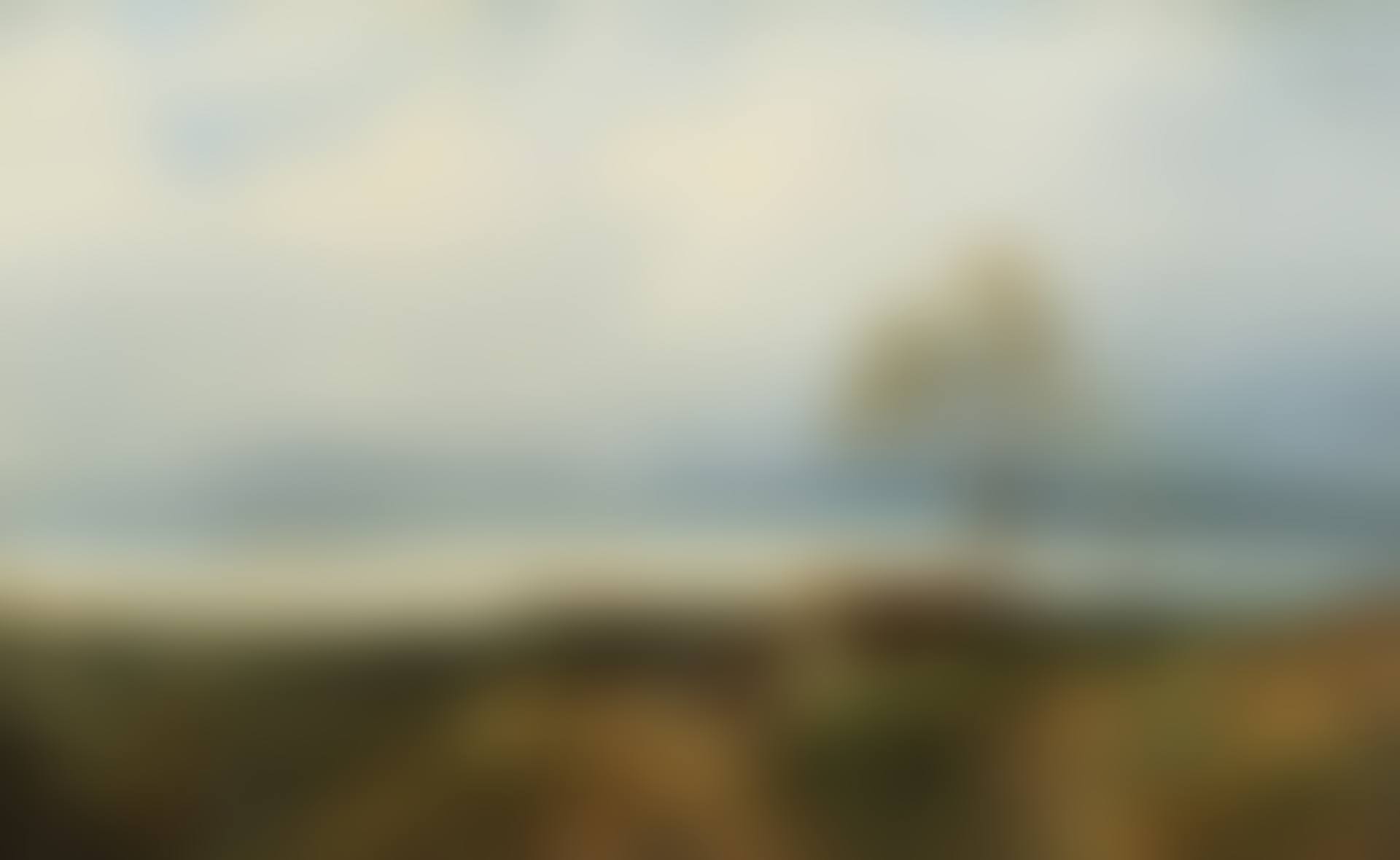 Lake landscape (preview)