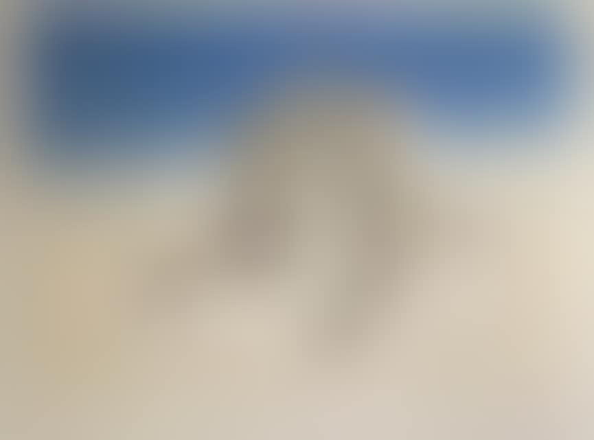 Composition in the chapel (preview)