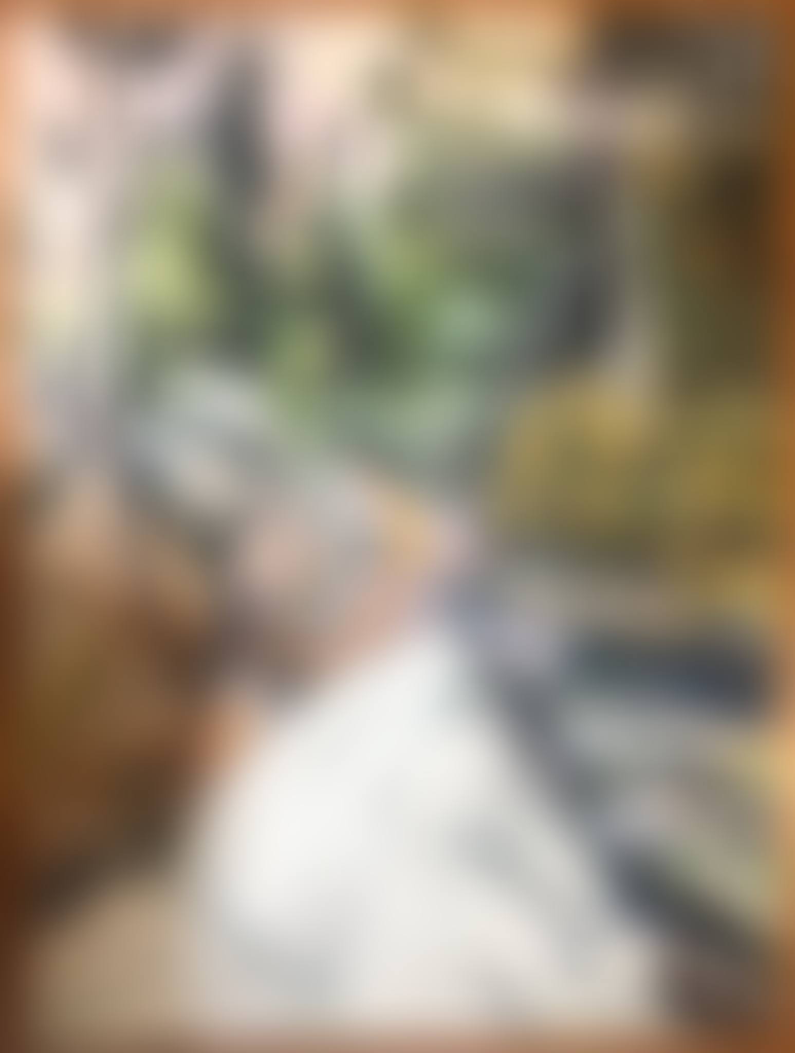Mountain landscape (preview)