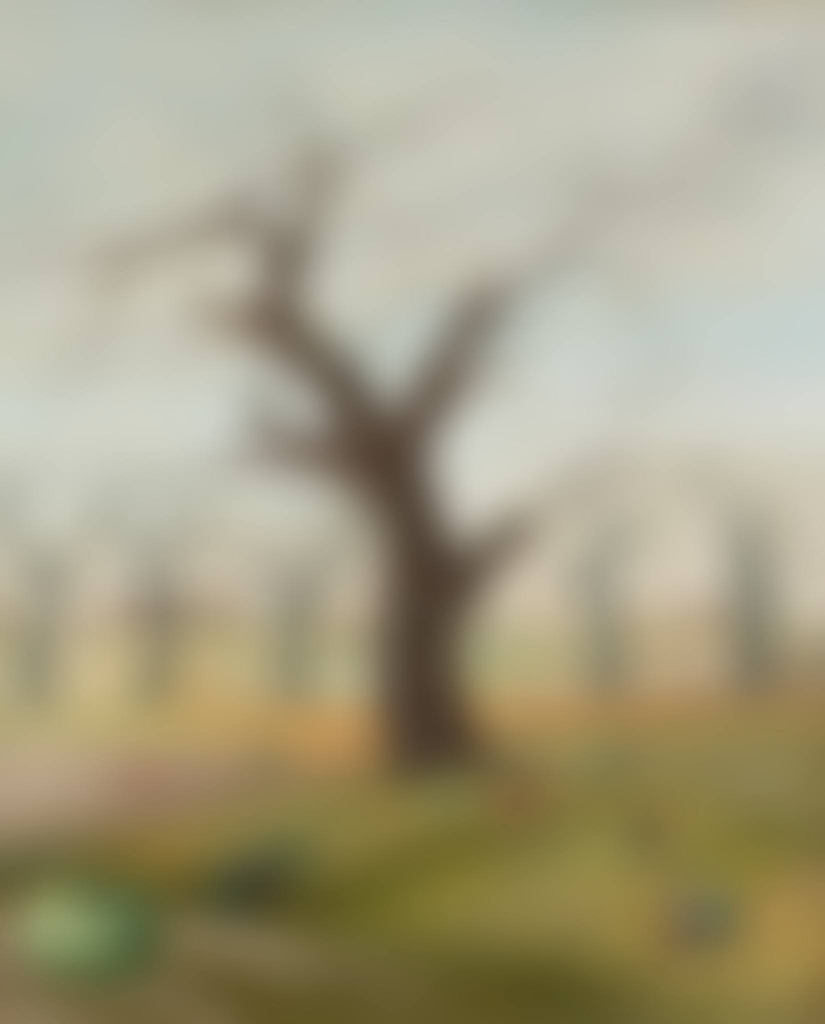 Surreal landscape (preview)