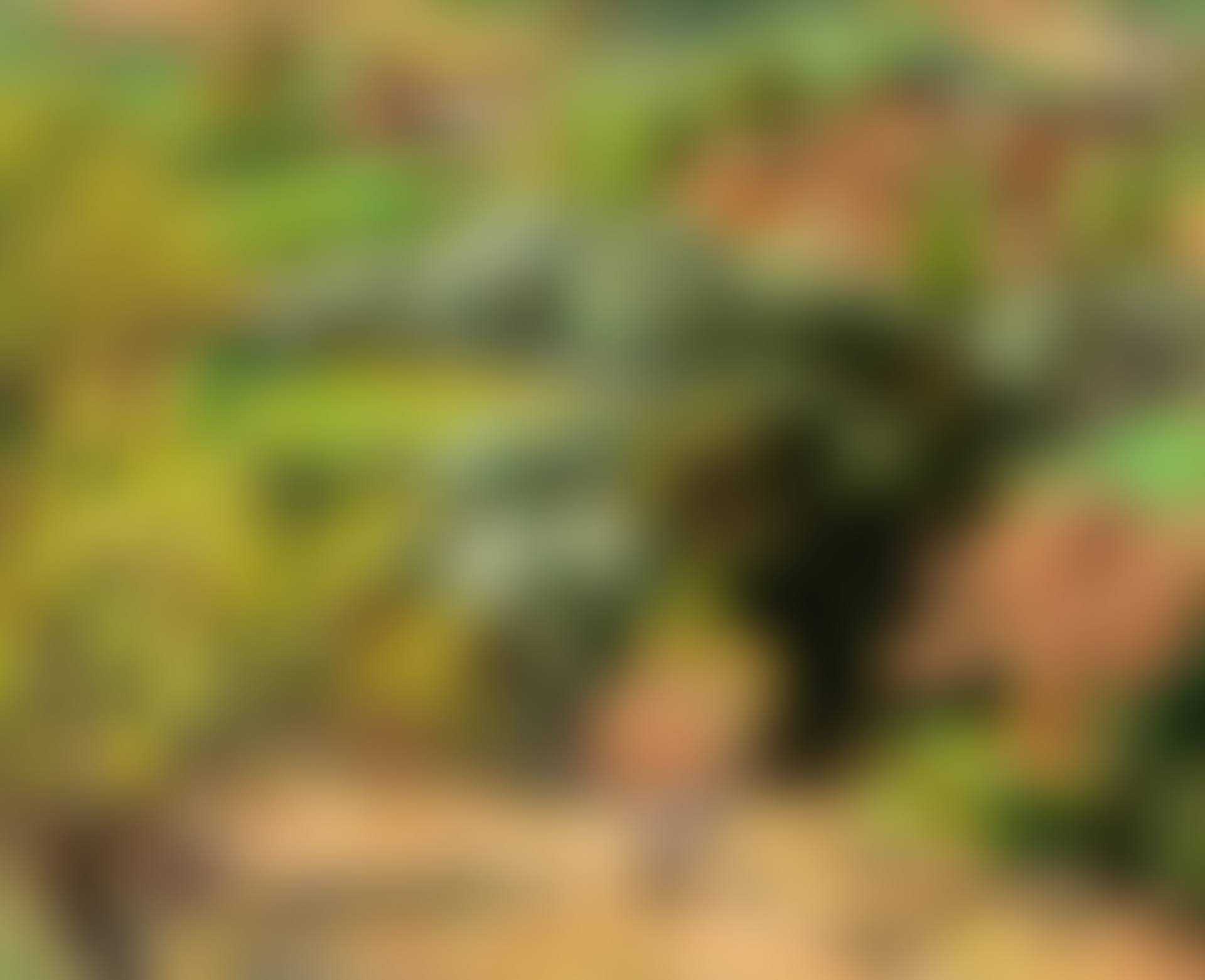 Provençal landscape (preview)