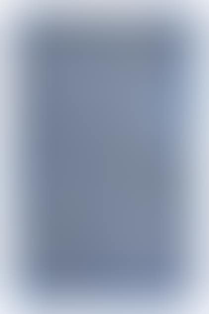 Blue and White Calligraphy (preview)